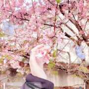 ヒメ日記 2026/02/28 09:06 投稿 鷹見 熟女の風俗最終章 新横浜店