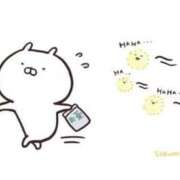 ヒメ日記 2026/04/03 11:46 投稿 鷹見 熟女の風俗最終章 新横浜店