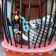 ヒメ日記 2025/10/11 19:22 投稿 あんず 横浜人妻セレブリティ（ユメオト）