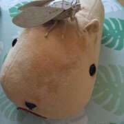 ヒメ日記 2025/07/26 10:58 投稿 すずめ 熟女の風俗最終章 仙台店