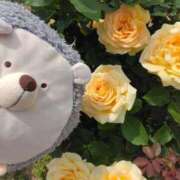 ヒメ日記 2025/07/31 07:11 投稿 すずめ 熟女の風俗最終章 仙台店