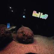 ヒメ日記 2025/08/11 08:30 投稿 すずめ 熟女の風俗最終章 仙台店