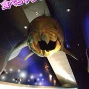 ヒメ日記 2025/08/23 18:44 投稿 すずめ 熟女の風俗最終章 仙台店