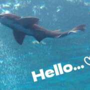 ヒメ日記 2025/09/16 07:34 投稿 すずめ 熟女の風俗最終章 仙台店