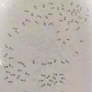 ヒメ日記 2025/10/02 16:24 投稿 すずめ 熟女の風俗最終章 仙台店