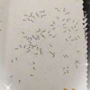 ヒメ日記 2025/10/07 14:04 投稿 すずめ 熟女の風俗最終章 仙台店