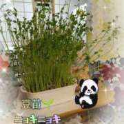 ヒメ日記 2025/10/29 07:45 投稿 すずめ 熟女の風俗最終章 仙台店