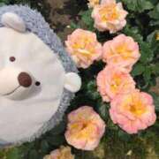 ヒメ日記 2025/11/06 09:01 投稿 すずめ 熟女の風俗最終章 仙台店