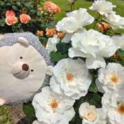 ヒメ日記 2025/11/20 18:24 投稿 すずめ 熟女の風俗最終章 仙台店