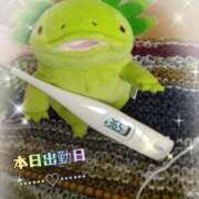 ヒメ日記 2025/12/01 11:26 投稿 すずめ 熟女の風俗最終章 仙台店