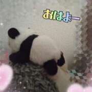 ヒメ日記 2025/12/16 08:54 投稿 すずめ 熟女の風俗最終章 仙台店