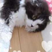 ヒメ日記 2025/12/20 01:39 投稿 すずめ 熟女の風俗最終章 仙台店