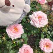 ヒメ日記 2025/12/22 08:38 投稿 すずめ 熟女の風俗最終章 仙台店