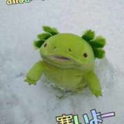 ヒメ日記 2026/01/12 08:15 投稿 すずめ 熟女の風俗最終章 仙台店