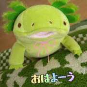 ヒメ日記 2026/01/14 08:18 投稿 すずめ 熟女の風俗最終章 仙台店