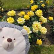 ヒメ日記 2026/01/15 09:14 投稿 すずめ 熟女の風俗最終章 仙台店