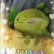 ヒメ日記 2026/01/18 09:54 投稿 すずめ 熟女の風俗最終章 仙台店