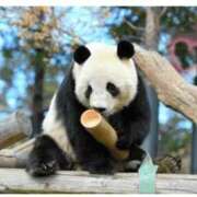 ヒメ日記 2026/01/26 14:36 投稿 すずめ 熟女の風俗最終章 仙台店