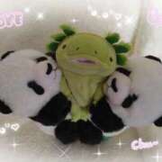 ヒメ日記 2026/01/28 07:54 投稿 すずめ 熟女の風俗最終章 仙台店