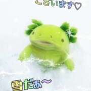 ヒメ日記 2026/02/09 09:14 投稿 すずめ 熟女の風俗最終章 仙台店