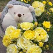 ヒメ日記 2026/02/10 08:34 投稿 すずめ 熟女の風俗最終章 仙台店