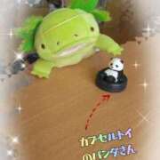 ヒメ日記 2026/02/12 15:14 投稿 すずめ 熟女の風俗最終章 仙台店