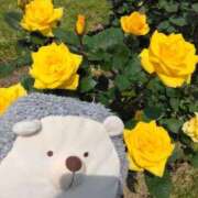 ヒメ日記 2026/02/15 08:55 投稿 すずめ 熟女の風俗最終章 仙台店