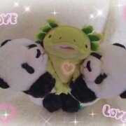 ヒメ日記 2026/03/03 08:34 投稿 すずめ 熟女の風俗最終章 仙台店