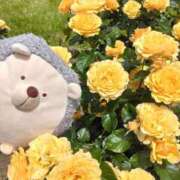 すずめ Hello…♡ 熟女の風俗最終章 仙台店