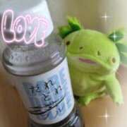 ヒメ日記 2026/03/25 07:50 投稿 すずめ 熟女の風俗最終章 仙台店