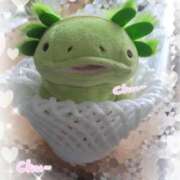 ヒメ日記 2026/03/29 08:24 投稿 すずめ 熟女の風俗最終章 仙台店