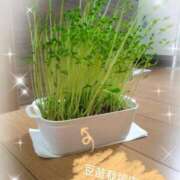 ヒメ日記 2026/04/05 12:45 投稿 すずめ 熟女の風俗最終章 仙台店