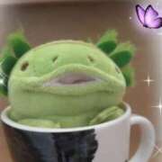 ヒメ日記 2026/04/07 08:55 投稿 すずめ 熟女の風俗最終章 仙台店