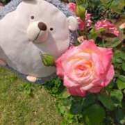 ヒメ日記 2026/04/09 10:34 投稿 すずめ 熟女の風俗最終章 仙台店