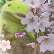 ヒメ日記 2026/04/10 08:34 投稿 すずめ 熟女の風俗最終章 仙台店