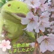 ヒメ日記 2026/04/11 20:24 投稿 すずめ 熟女の風俗最終章 仙台店