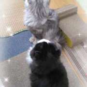 ヒメ日記 2026/04/20 11:49 投稿 すずめ 熟女の風俗最終章 仙台店