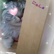 ヒメ日記 2026/04/26 15:34 投稿 すずめ 熟女の風俗最終章 仙台店