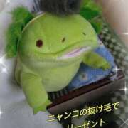 ヒメ日記 2026/04/27 17:18 投稿 すずめ 熟女の風俗最終章 仙台店