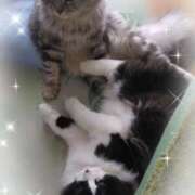 すずめ (=^_^=)…Hello♡ 熟女の風俗最終章 仙台店