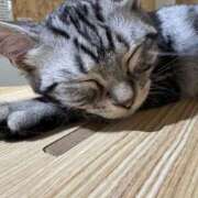 ヒメ日記 2025/10/07 14:07 投稿 みゆき 恋色ぱれっと 北大阪店