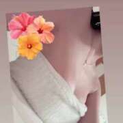 ヒメ日記 2025/08/02 13:28 投稿 のいる ワンダフル