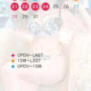 ヒメ日記 2025/09/01 00:28 投稿 のいる ワンダフル