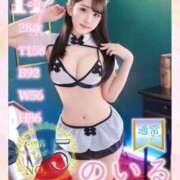 ヒメ日記 2025/10/01 08:18 投稿 のいる ワンダフル