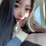 ヒメ日記 2026/01/24 06:19 投稿 のいる ワンダフル