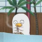 ヒメ日記 2026/01/25 21:35 投稿 のいる ワンダフル