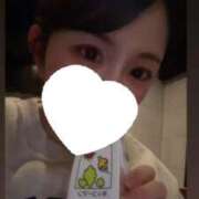 ヒメ日記 2026/01/28 14:13 投稿 のいる ワンダフル