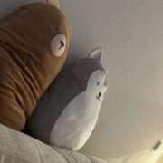 ヒメ日記 2026/02/07 07:08 投稿 のいる ワンダフル