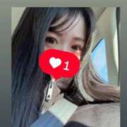 ヒメ日記 2026/02/15 10:15 投稿 のいる ワンダフル