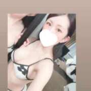 ヒメ日記 2026/02/22 10:48 投稿 のいる ワンダフル